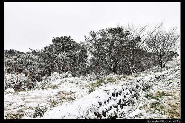 20150124汐止五指山賞雪20