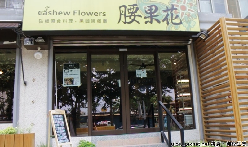 170601 新竹 腰果花001.jpg 170601 新竹 腰果花001.jpg