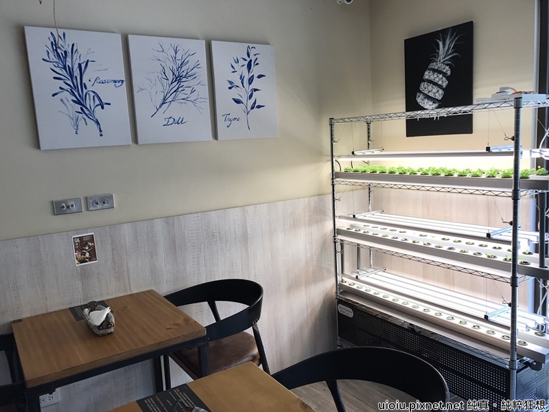 170601 新竹 腰果花004.jpg 170601 新竹 腰果花004.jpg