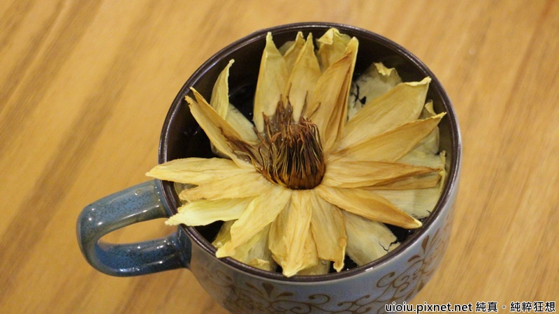 170601 新竹 腰果花032.JPG 170601 新竹 腰果花032.JPG