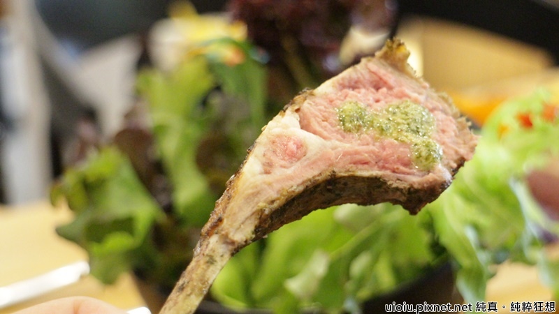 170601 新竹 腰果花030.JPG 170601 新竹 腰果花030.JPG