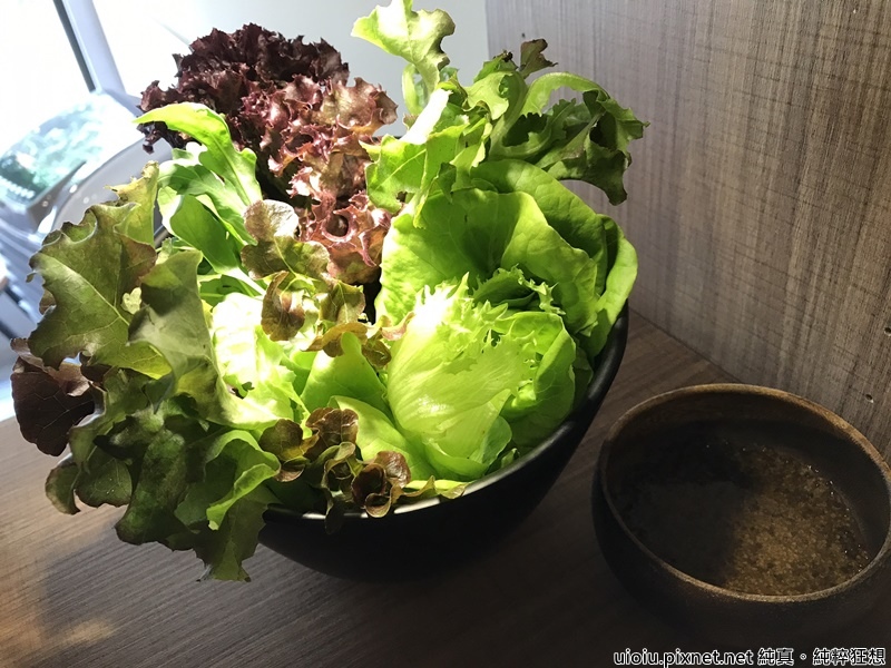 170601 新竹 腰果花012.jpg 170601 新竹 腰果花012.jpg