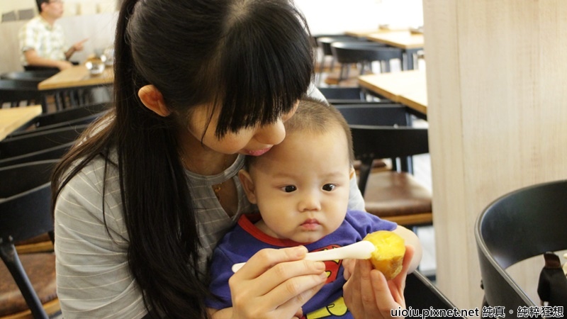 170601 新竹 腰果花035.JPG 170601 新竹 腰果花035.JPG