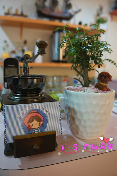 DSC04844 [-1]_meitu_8.jpg