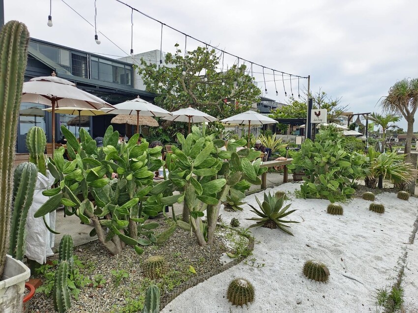 【新北.三芝】北海岸景觀餐廳推薦。公雞咖啡。食物好吃+淺水灣海景第一排+超級寵物友善