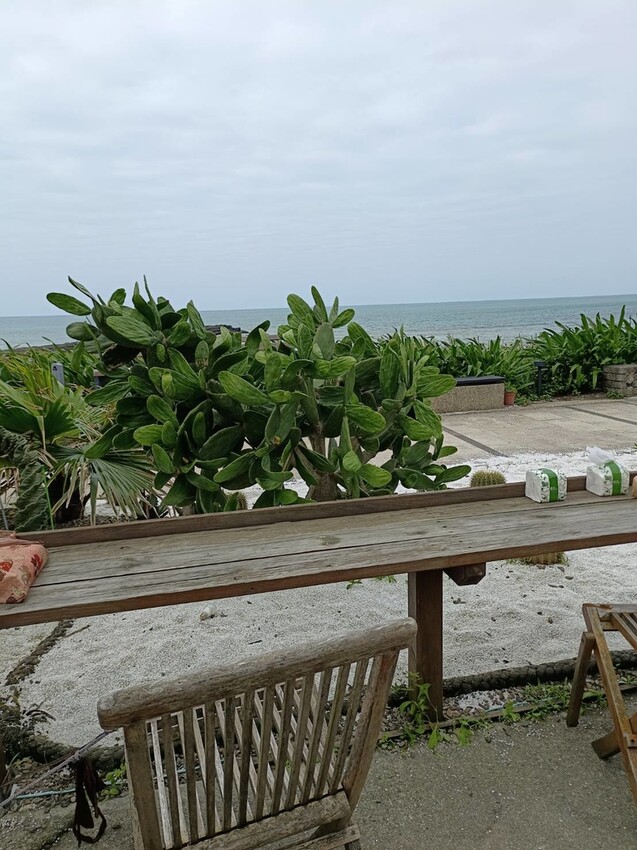 【新北.三芝】北海岸景觀餐廳推薦。公雞咖啡。食物好吃+淺水灣海景第一排+超級寵物友善