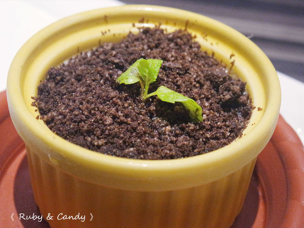 洋城義大利餐廳 (152).JPG