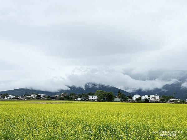 花蓮縣吉安鄉【2023春節環島。花蓮】滷味很驚豔的吉安慶豐麵店 & 好事會發生的鳳林美好花生