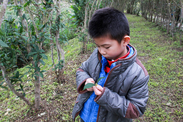 IMG_0204.jpg IMG_0204.jpg