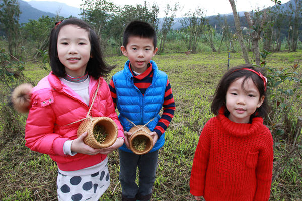 IMG_0214.jpg IMG_0214.jpg