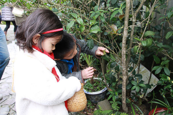 IMG_0175.jpg IMG_0175.jpg