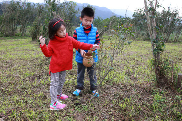 IMG_0209.jpg IMG_0209.jpg