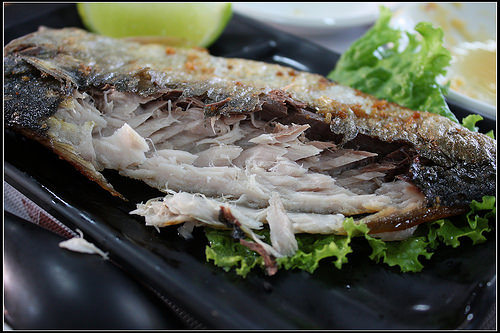 《幸福行》外埔‧布英熊文化創藝館~台中走春、親子DIY體驗、戶外遊戲區