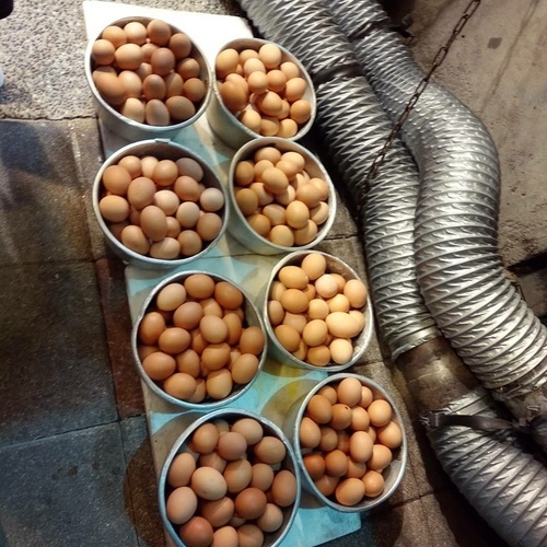 夜市 特輯#2︱寧夏夜市 排隊必吃美食-賴雞蛋蚵仔煎、榮登米其林必比登劉芋仔︱口袋私藏 方家雞肉飯 ︱ 打彈珠 保有童真的時代