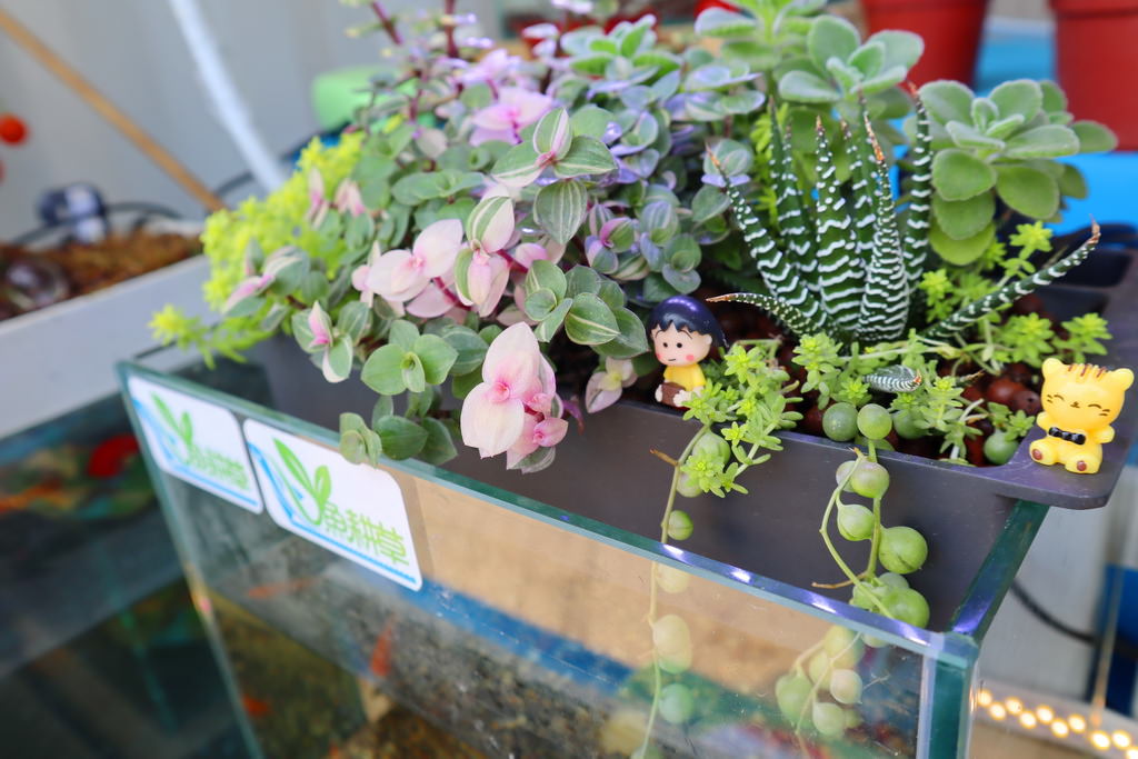 桃園農博好玩,大江購物中心好逛,吹冷氣、吃晚餐,農博周邊景點攻略