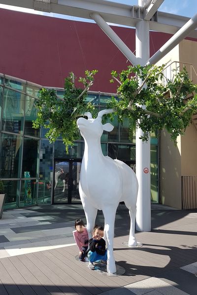 【桃園/中壢區】大江國際購物中心