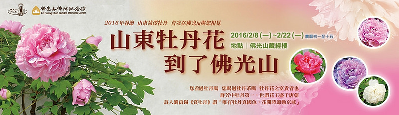 彿光山DM-5 彿光山DM-5