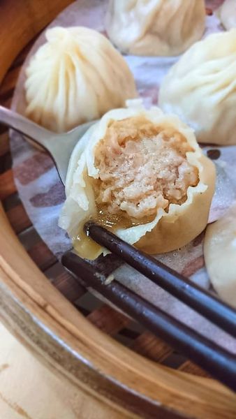 64548546_2478303042201370_5783817442870427648_n