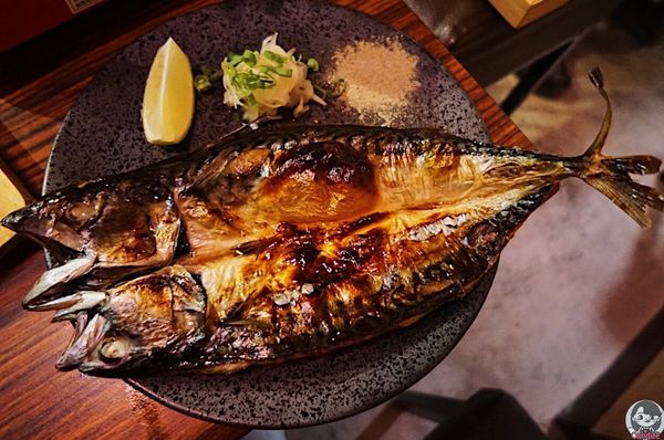 DTST1531_结果.jpg DTST1531_结果.jpg