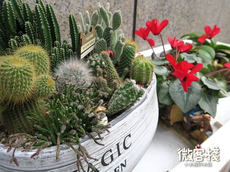 【捷運東門站】微客棧 - 人文空間~ 純粹食材、溫暖空間、幸福美味