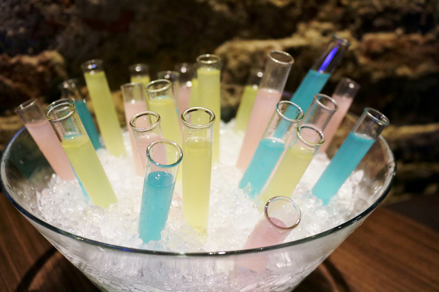 IMG_0995.jpg IMG_0995.jpg