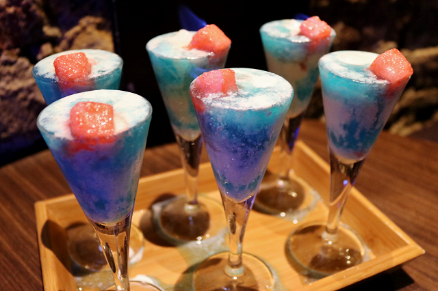 IMG_1131.jpg IMG_1131.jpg