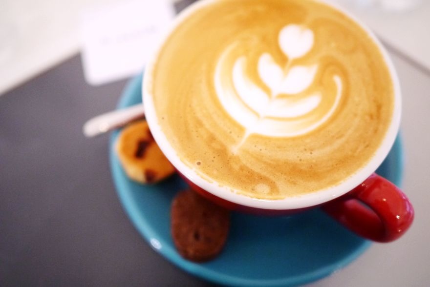 P2420826.jpg P2420826.jpg