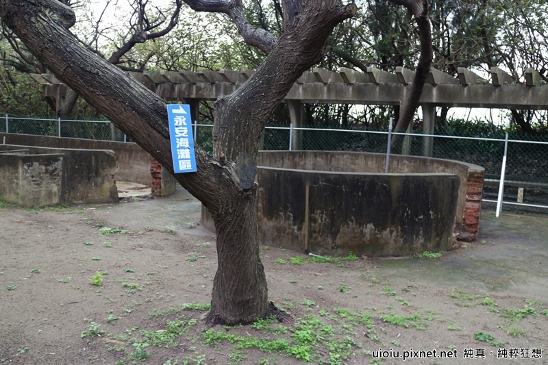 160312 桃園永安 大腳ㄚ農莊050.JPG 160312 桃園永安 大腳ㄚ農莊050.JPG