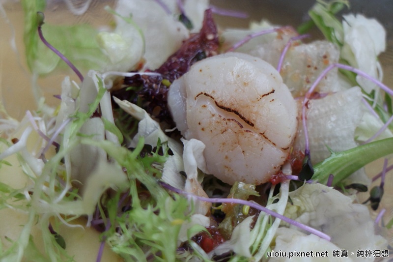 160312 桃園永安 大腳ㄚ農莊015.JPG 160312 桃園永安 大腳ㄚ農莊015.JPG