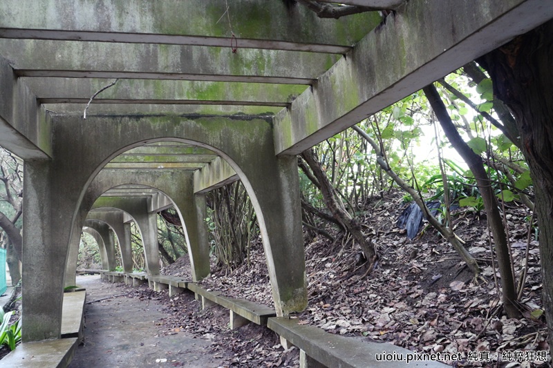 160312 桃園永安 大腳ㄚ農莊051.JPG 160312 桃園永安 大腳ㄚ農莊051.JPG