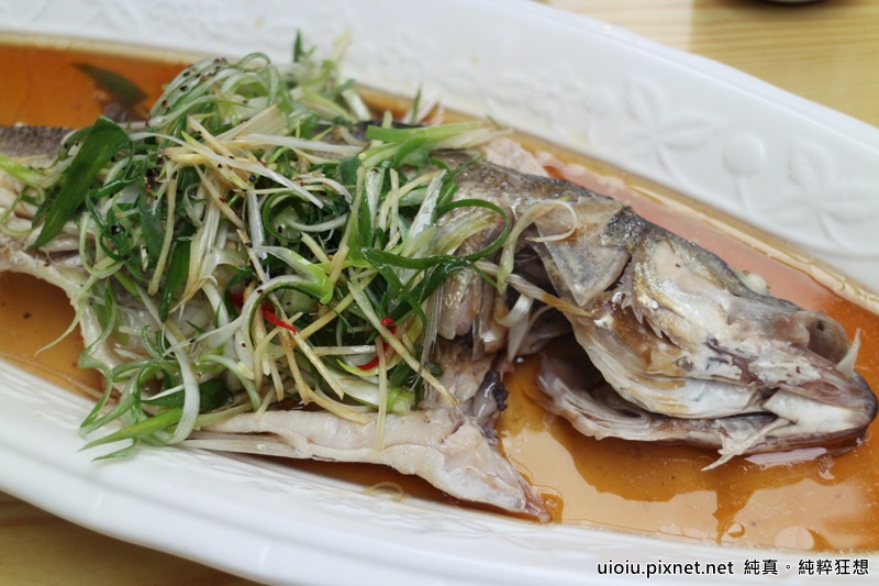 160312 桃園永安 大腳ㄚ農莊025.JPG 160312 桃園永安 大腳ㄚ農莊025.JPG