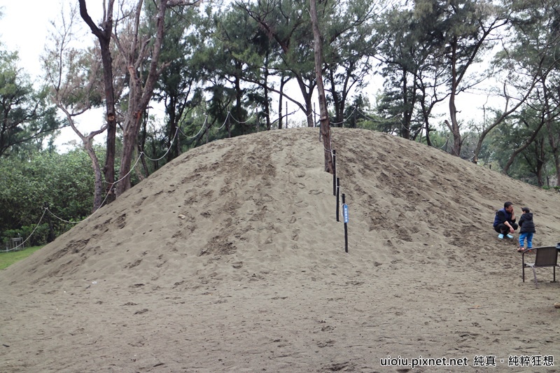 160312 桃園永安 大腳ㄚ農莊040.JPG 160312 桃園永安 大腳ㄚ農莊040.JPG