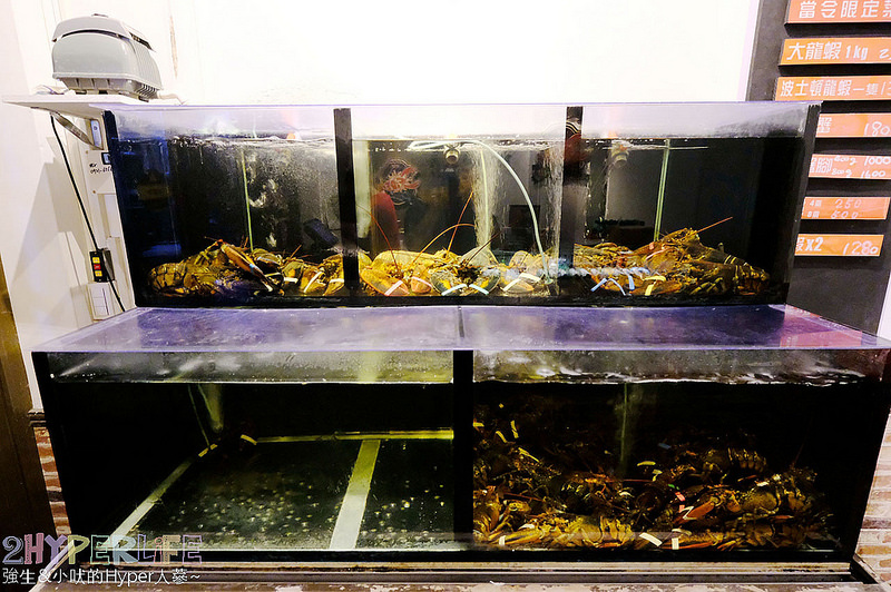  @強生與小吠的Hyper人蔘~