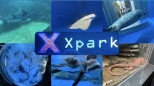 笠復威斯汀度假酒店 │桃園住宿•數十種設施只住一天根本不夠!