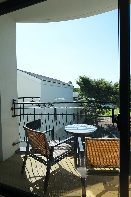 SNOW_20220727_161251_905