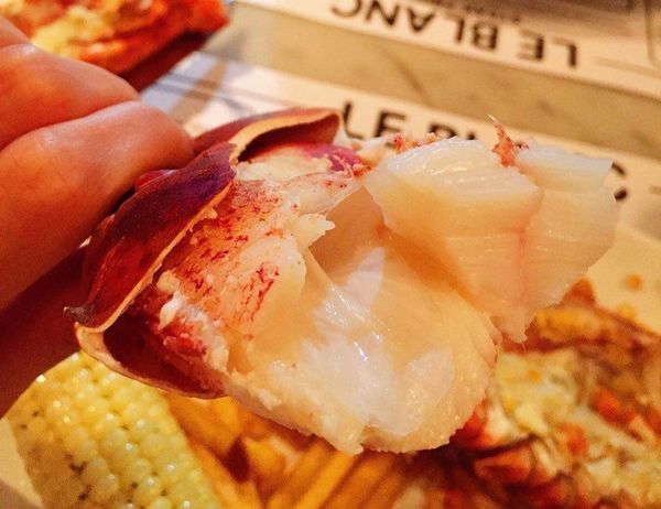 台北大安 《LE BLANC》超激經典美味　波士頓龍蝦特餐 & 肋眼牛排