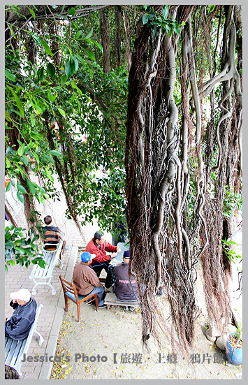台南●二空眷村(上)●樹屋/文化館/貿易四村/紀念碑/日軍炮陣地/歲月神偷