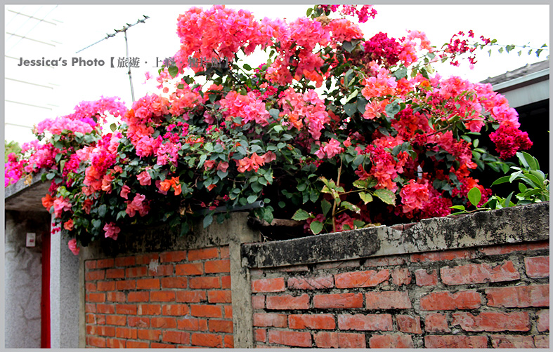 台南●二空眷村(下)●碉堡/樹屋/木造老庫房/水塔/紀念碑/老房巡禮/張家涼皮