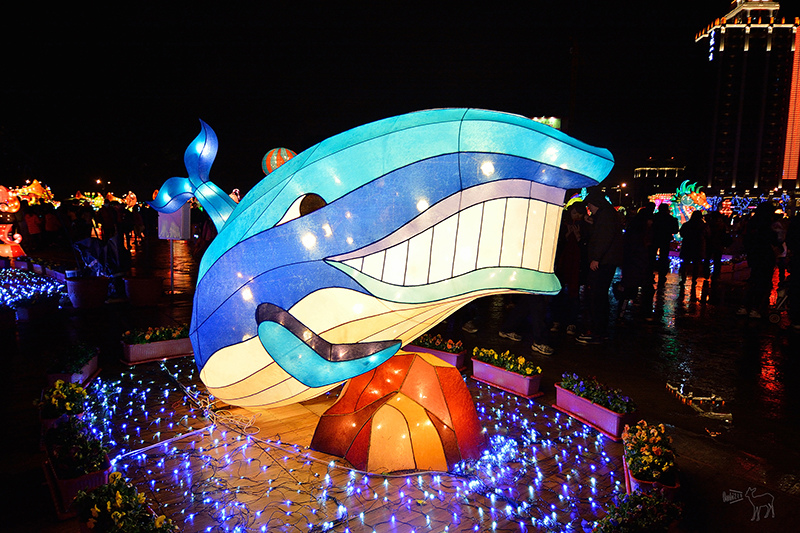 2016桃園燈會:繽紛主副燈,六大主題燈區與寬廣佔地.高鐵桃園站,免費接駁車