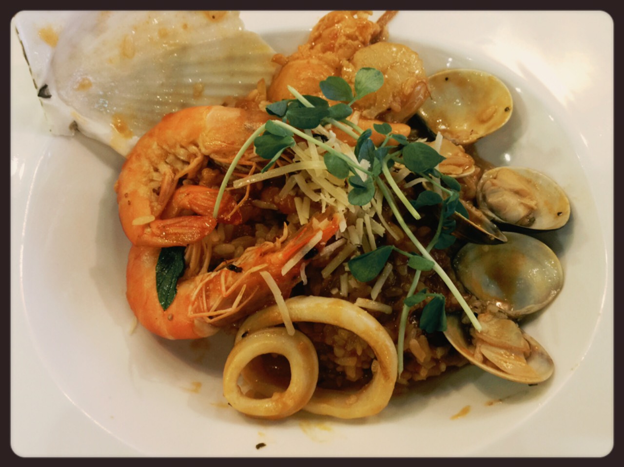 Pgo 沛果義式餐飲