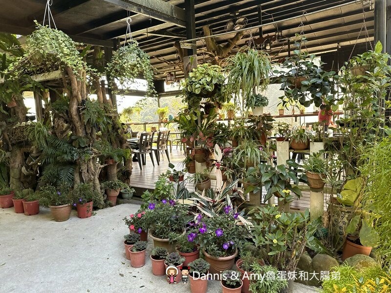 桃園龜山森林系餐廳︱綠庭緣 輕食,正餐,咖啡下午茶 ~近虎頭山步道 - Dannis Amy魯蛋妹大腸弟︱美食旅遊生活