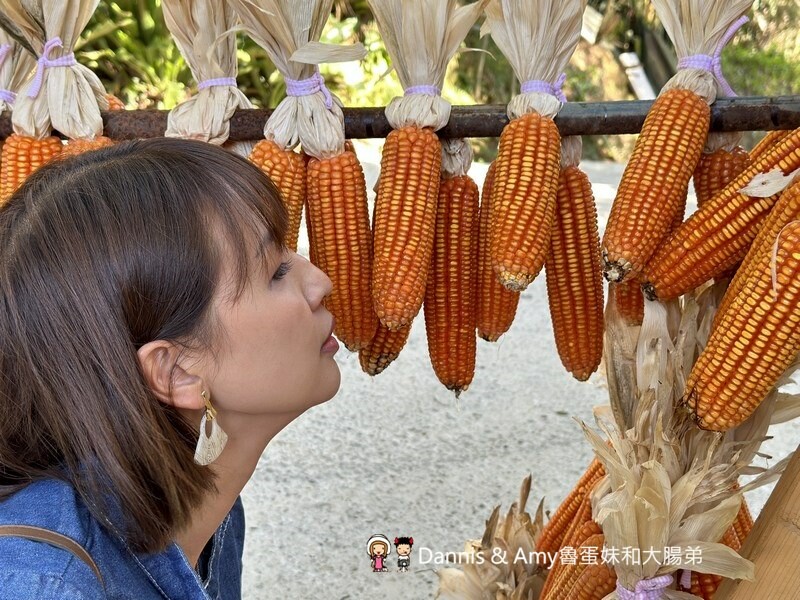 桃園龜山森林系餐廳︱綠庭緣 輕食,正餐,咖啡下午茶 ~近虎頭山步道 - Dannis Amy魯蛋妹大腸弟︱美食旅遊生活
