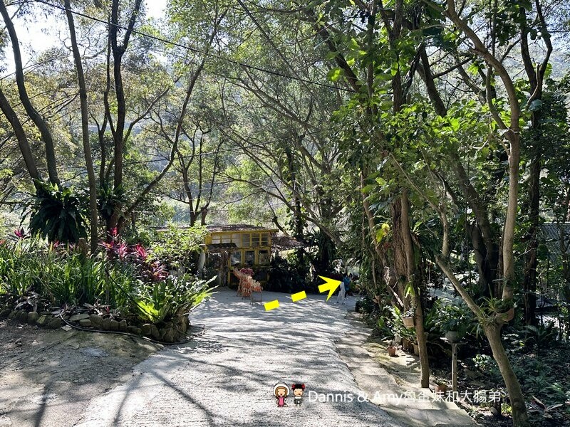 桃園龜山森林系餐廳︱綠庭緣 輕食,正餐,咖啡下午茶 ~近虎頭山步道 - Dannis Amy魯蛋妹大腸弟︱美食旅遊生活