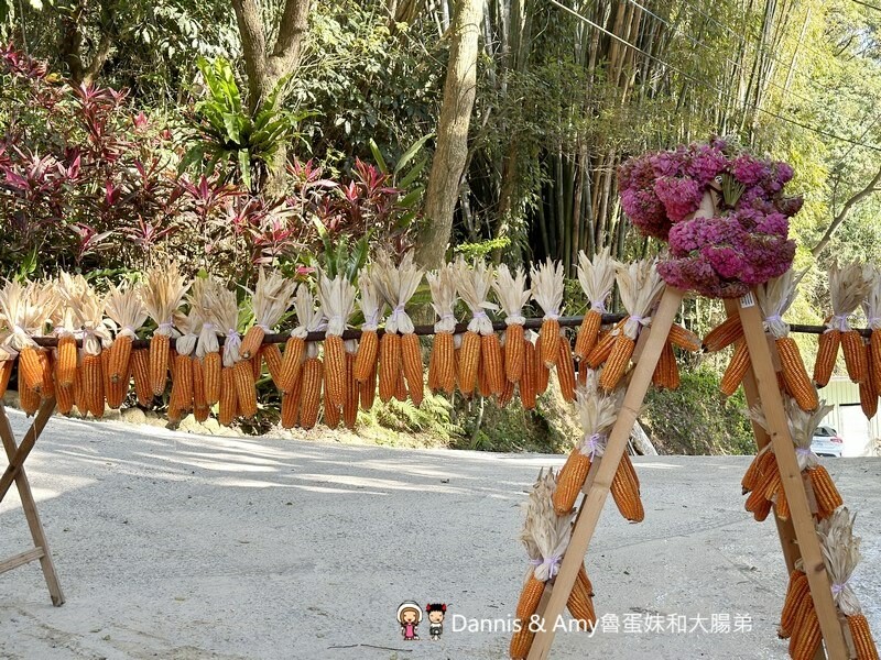 桃園龜山森林系餐廳︱綠庭緣 輕食,正餐,咖啡下午茶 ~近虎頭山步道 - Dannis Amy魯蛋妹大腸弟︱美食旅遊生活