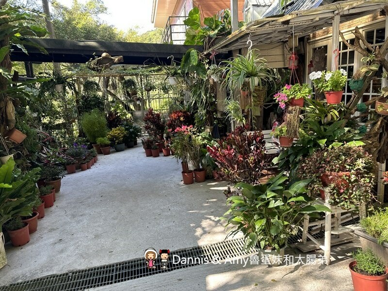 桃園龜山森林系餐廳︱綠庭緣 輕食,正餐,咖啡下午茶 ~近虎頭山步道 - Dannis Amy魯蛋妹大腸弟︱美食旅遊生活
