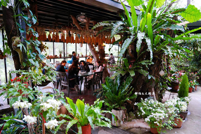 綠庭緣 ❙ 山林裡玻璃屋咖啡廳,虎頭山步道旁,桃園森林系景觀