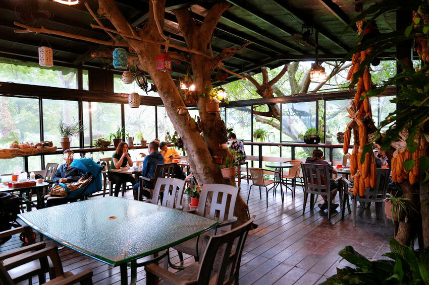 綠庭緣 ❙ 山林裡玻璃屋咖啡廳,虎頭山步道旁,桃園森林系景觀