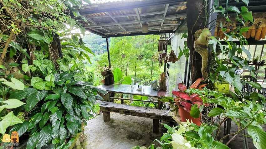 桃園龜山綠庭緣網美森林系咖啡廳，和煦陽光灑落遠方蟲鳴鳥叫，享受清幽休閒的下午茶，不用開到山區就能享受