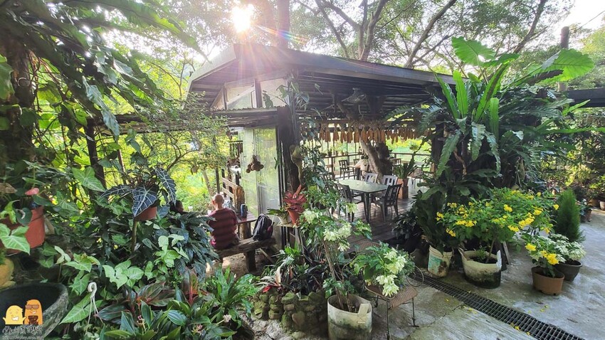 桃園龜山綠庭緣網美森林系咖啡廳，和煦陽光灑落遠方蟲鳴鳥叫，享受清幽休閒的下午茶，不用開到山區就能享受