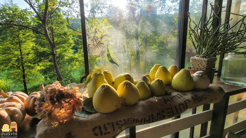 桃園龜山綠庭緣網美森林系咖啡廳，和煦陽光灑落遠方蟲鳴鳥叫，享受清幽休閒的下午茶，不用開到山區就能享受